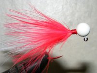 paintexp 014.jpg