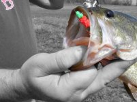easterfishing040410016.jpg