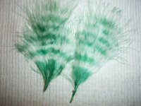 Tie dyed feathers 001.jpg