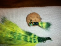 Tie dyed feathers 003.jpg