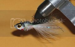 fishhead1.jpg