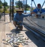 SonnyandJim51fish.jpg SonnyandJim51fish.jpg