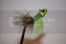 IMG_5646.jpg