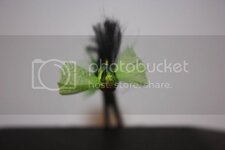 IMG_5648.jpg