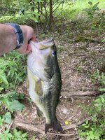 IMG_4256.JPG IMG_4256.JPG