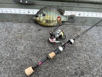 IMG_4236.jpeg IMG_4236.jpeg