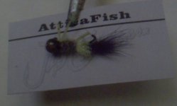 Atticafish.jpg
