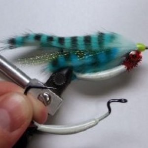 Blue Baitfish.jpg