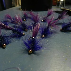 purple bugs 003.JPG