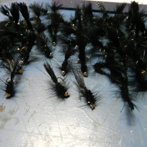 black woolly buggers 004.JPG