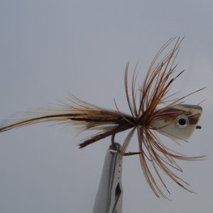 Tied feather-head popper 7-8-12 006.JPG