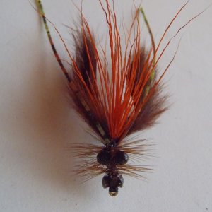 fly tying crayfish 003.JPG