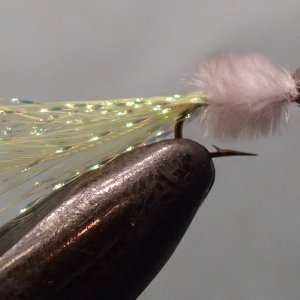 20141031ChartreuseWhite180th.JPG