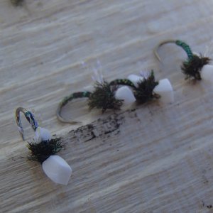 20160213KrystalFlashMidgeEmerger.JPG