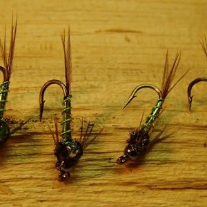 20160218GreenLightningBugs.JPG