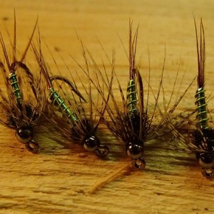 20160218GreenLightningBugsSoftHackles.JPG