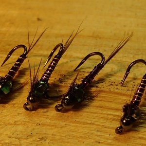 20160218PurpleLightningBugs.JPG