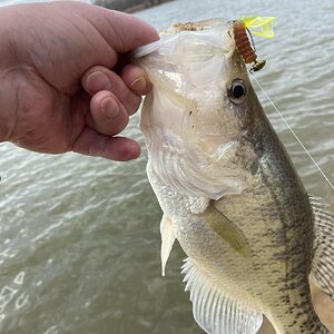 IMG_3119.JPG