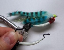 Blue Baitfish.jpg