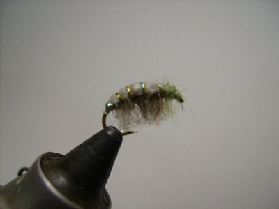 flies tied 083.jpg