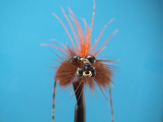 fly tying crayfish 008.JPG