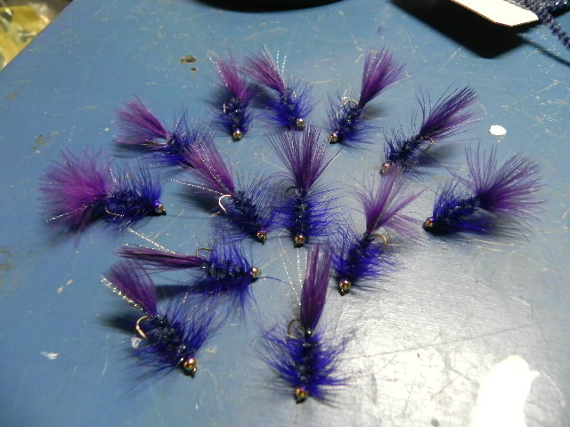 purple bugs 001.JPG