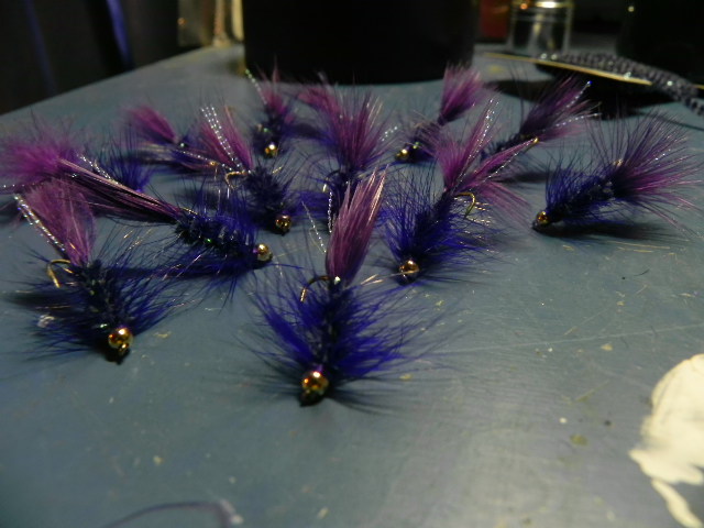 purple bugs 003.JPG