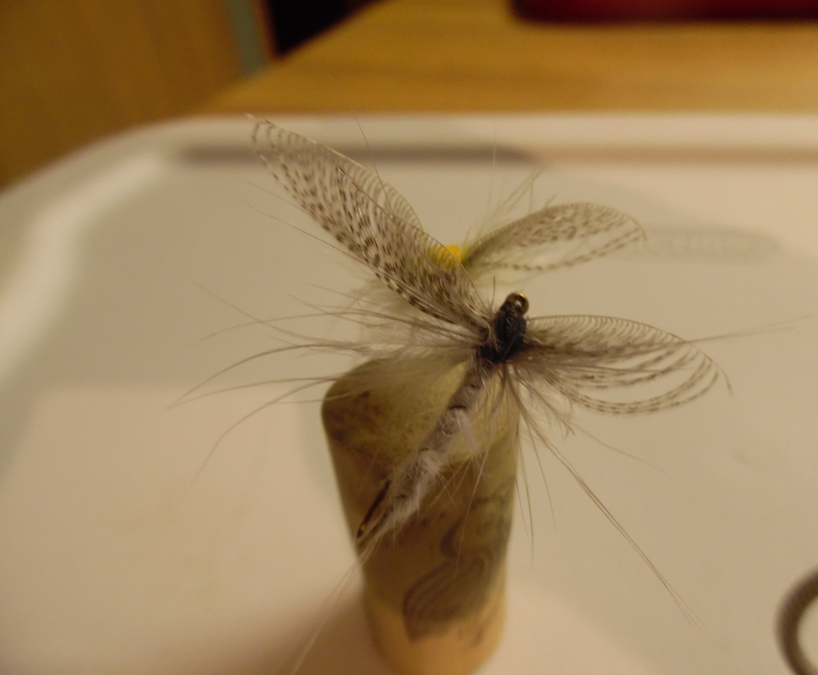 sam Mayfly #2.jpg