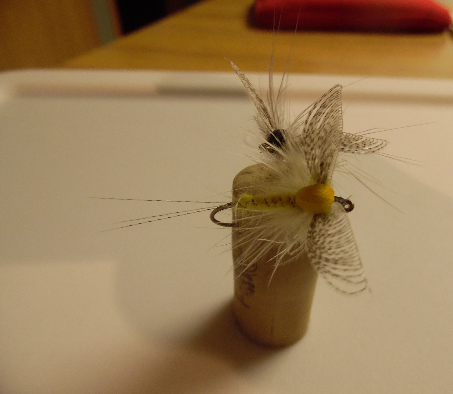 sam Mayfly #3.jpg