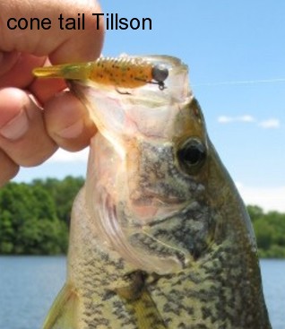 tillson cone tail crappie June 2020.jpg