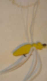 Yellow Spider.jpg